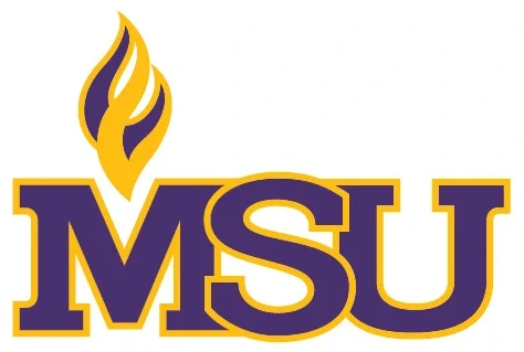 Minnesota State University